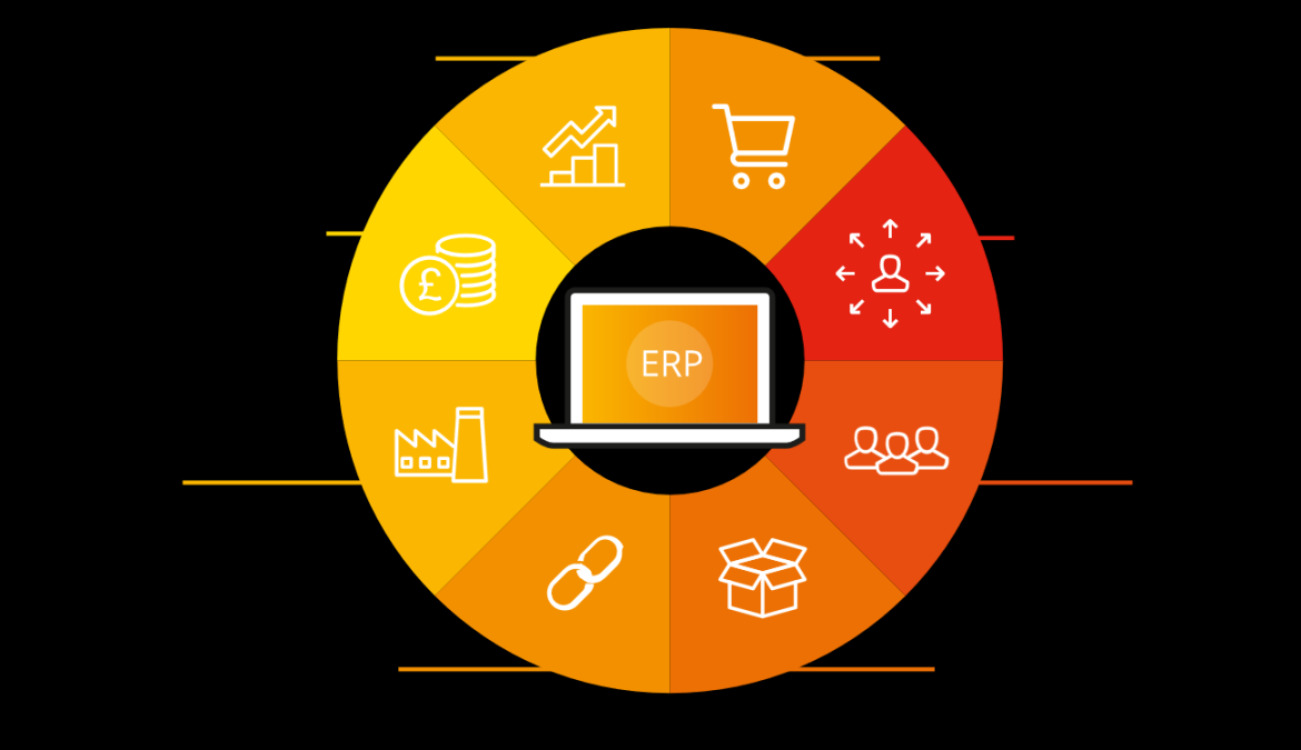 small erp systems